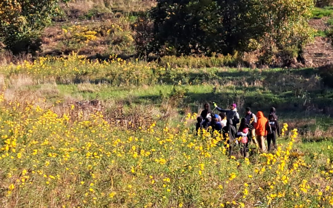 Photo of group of people surrounded by yellow prairie flowers