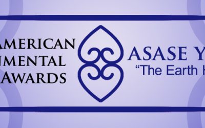 4th Annual African American Environmental Pioneer Awards